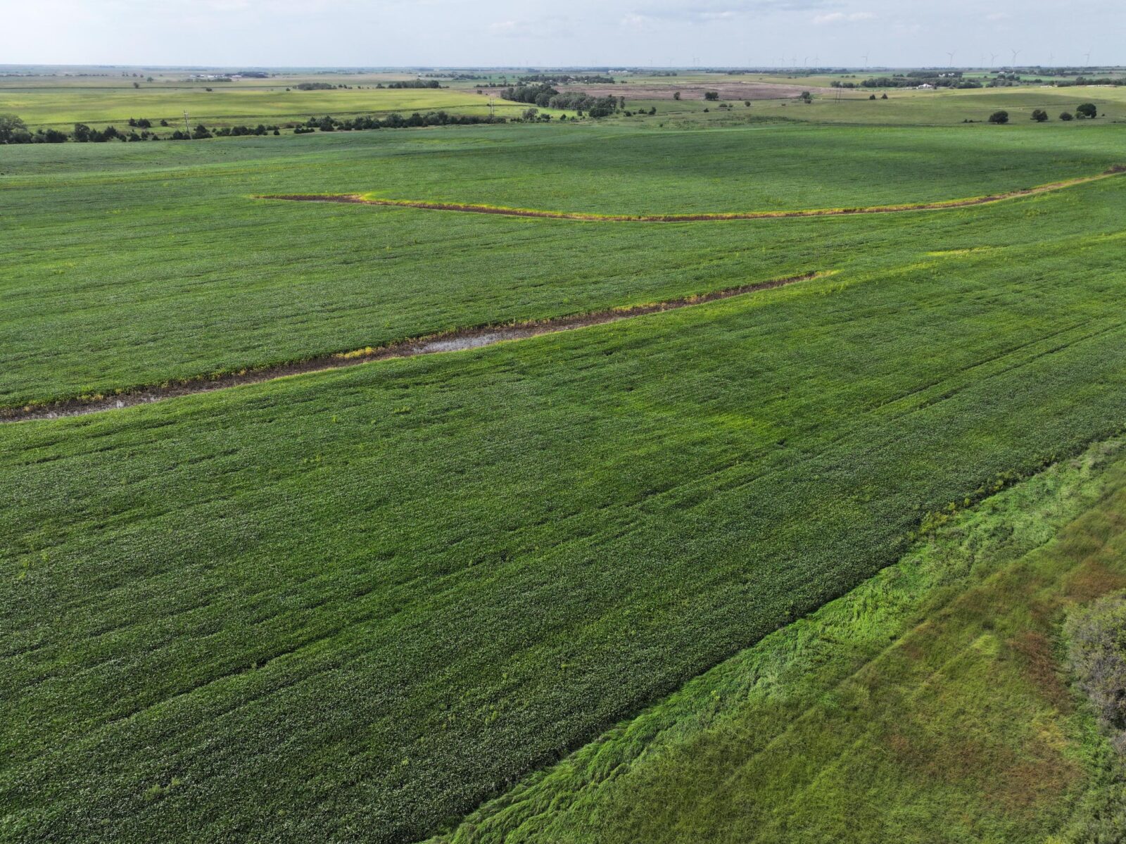Webster County Nebraska land for sale