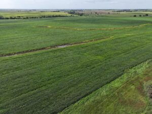 Webster County Nebraska land for sale