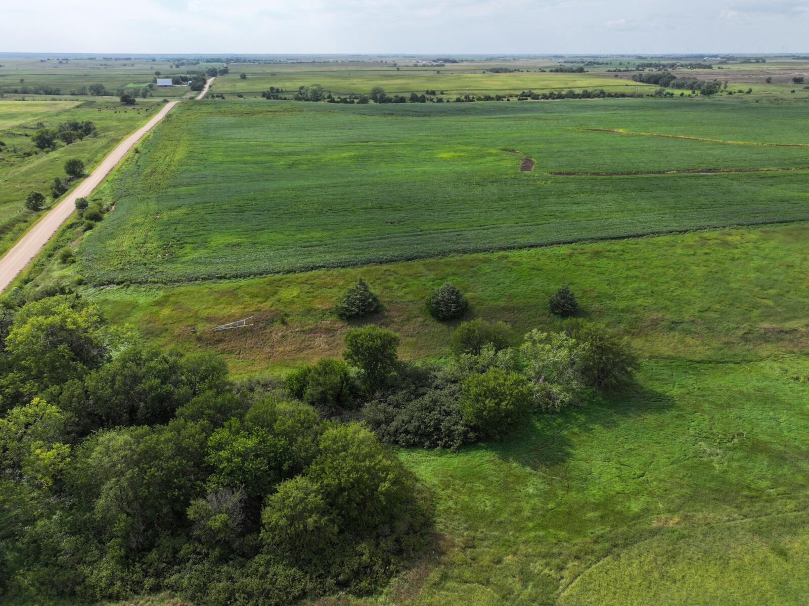 Webster County Nebraska land for sale