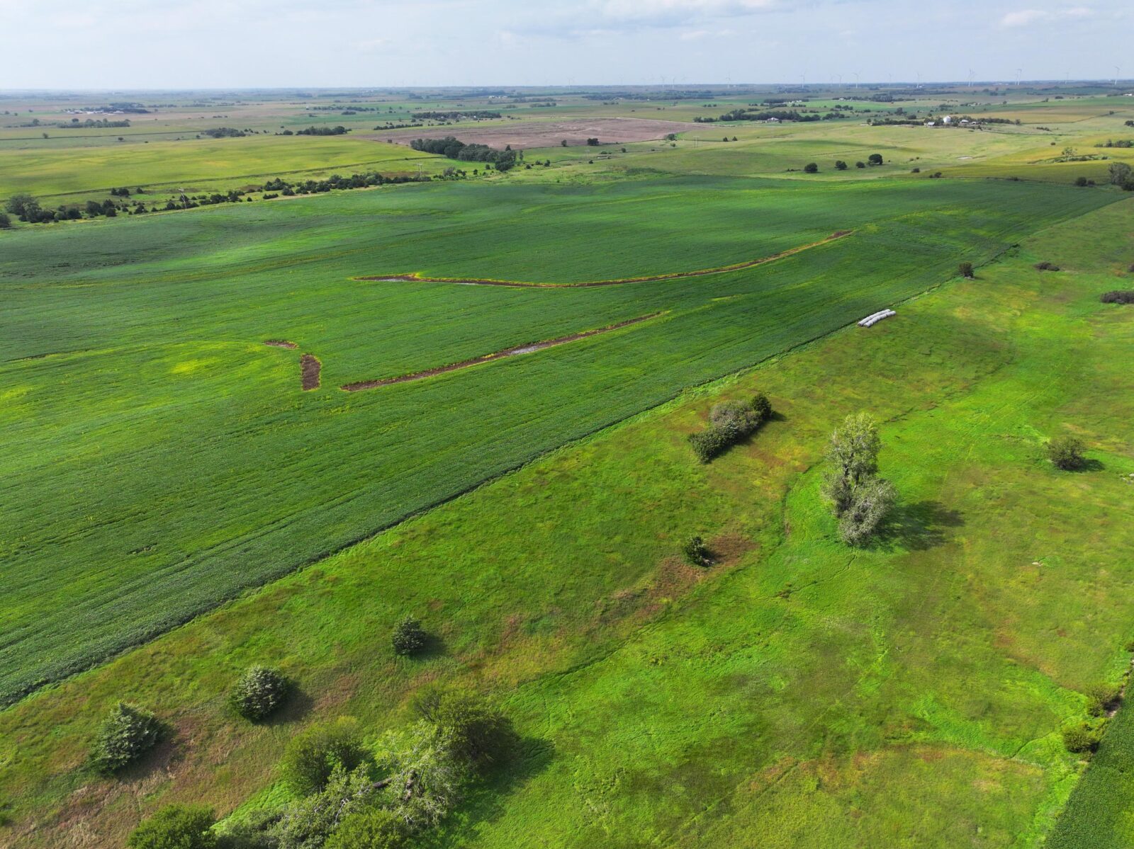 Webster County Nebraska land for sale
