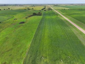 Webster County Nebraska land for sale