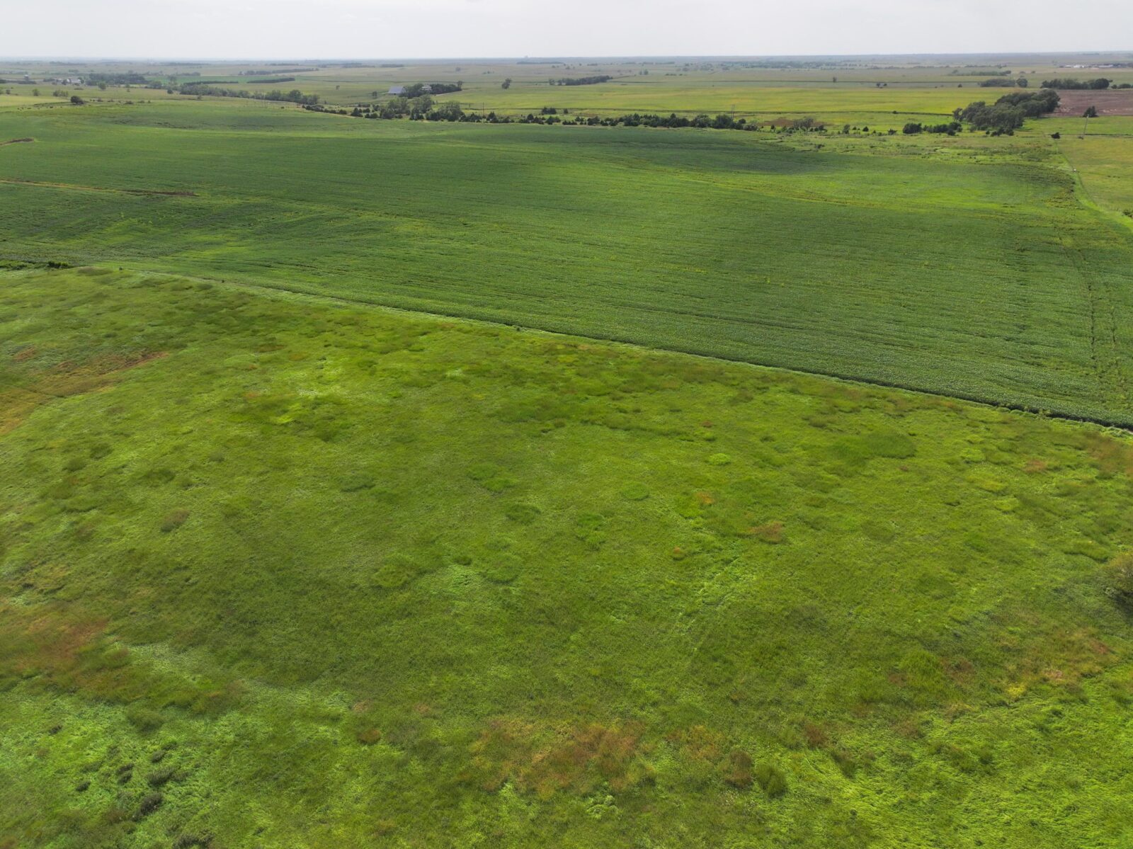 Webster County Nebraska land for sale