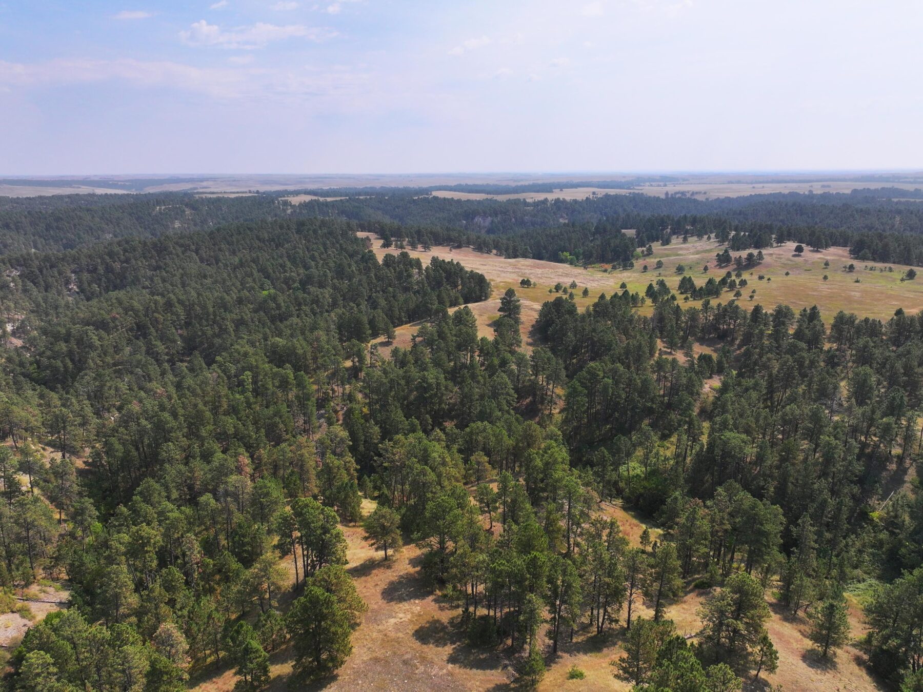 Pine Ridge Ranch 688 Acres, Dawes County, Pine Ridge Ranch and Wildlife - Lashley Land