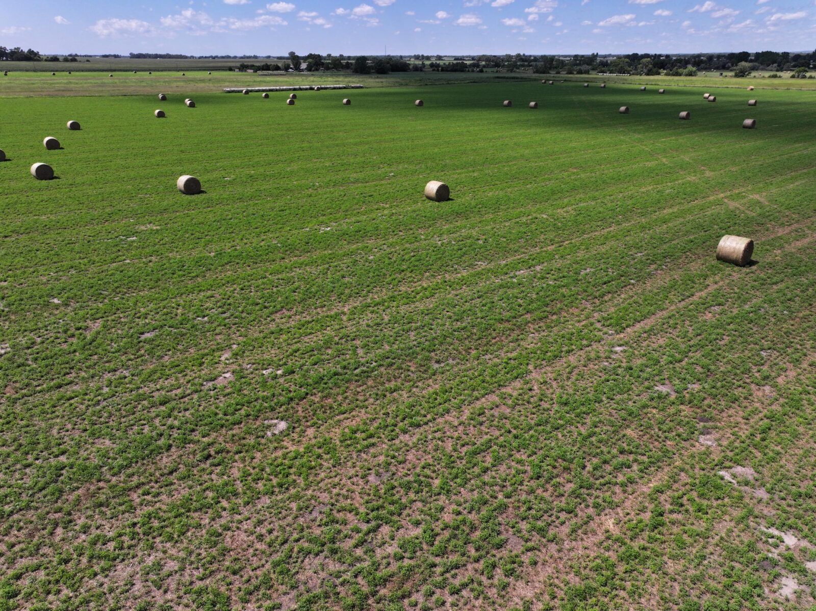 State Farm Road Long Acreage East