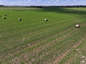 State Farm Road Long Acreage East