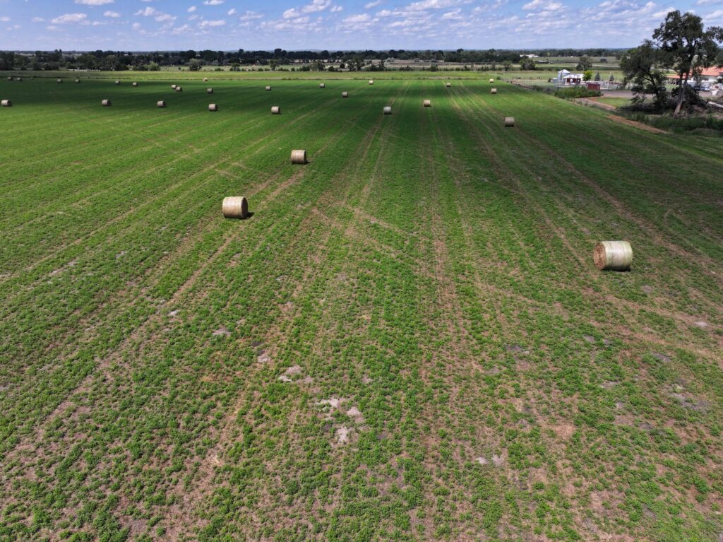 State Farm Road Long Acreage East  