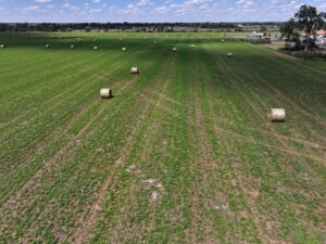 North Platte vacant land for sale