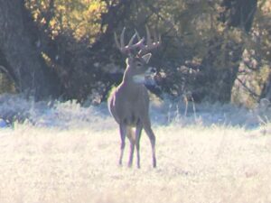 1,319 Acres, Dawes County, Pine Ridge Recreational Oasis