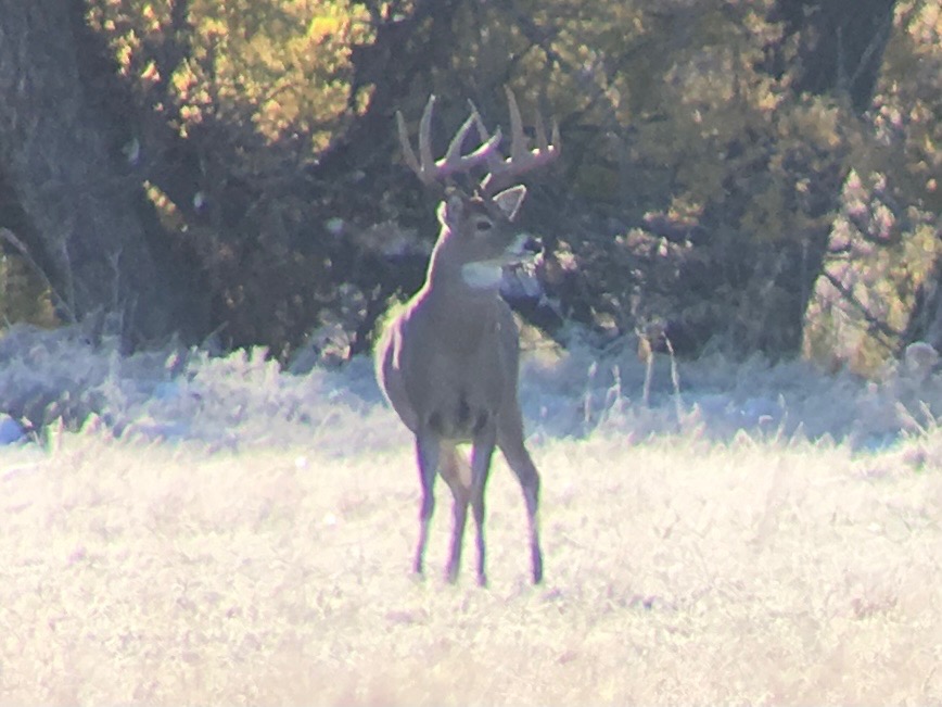 1,319 Acres, Dawes County, Pine Ridge Recreational Oasis