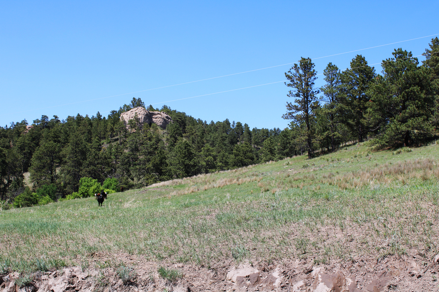 Dawes county Nebraska ranch and hunting land for sale