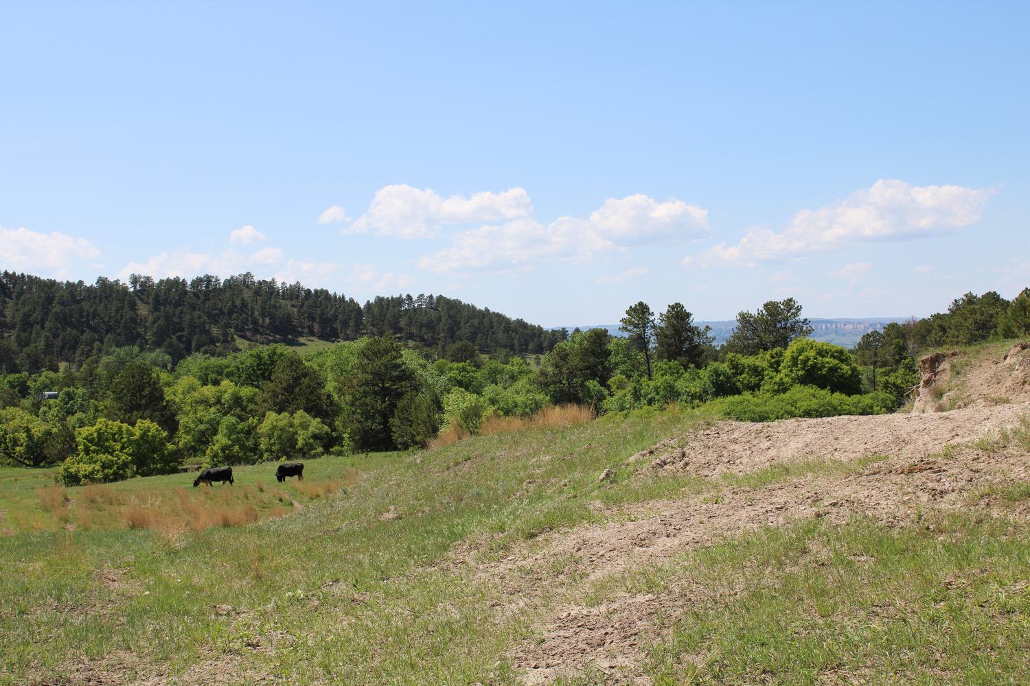 Dawes county Nebraska ranch and hunting land for sale