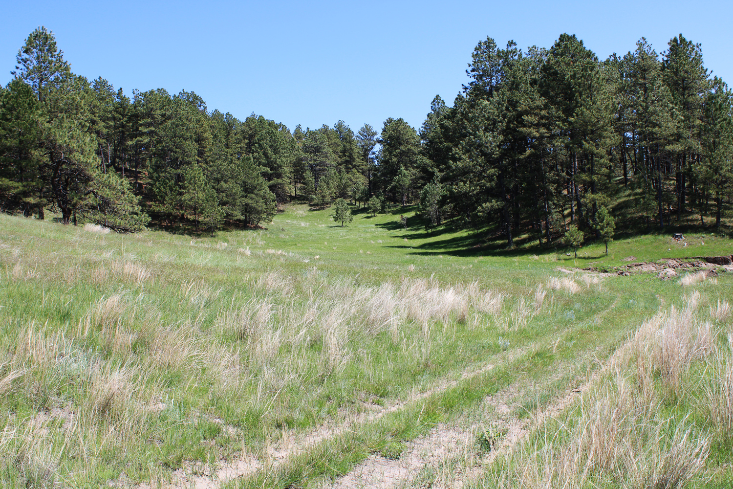 Dawes county Nebraska ranch and hunting land for sale