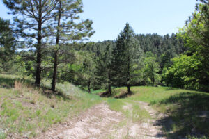 Dawes county Nebraska ranch and hunting land for sale