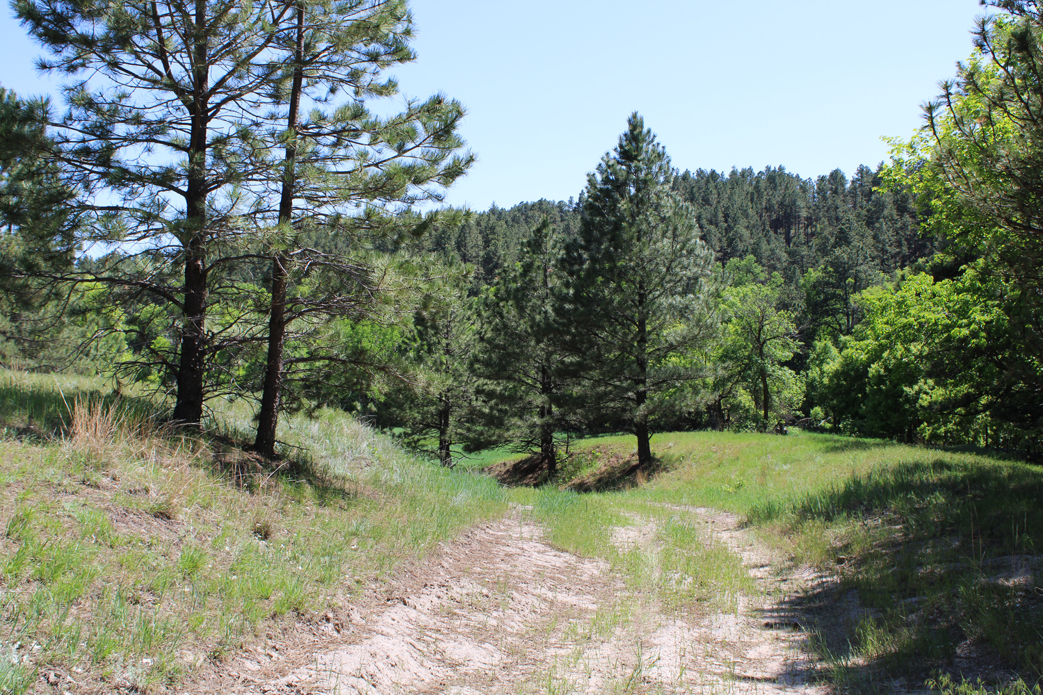 Dawes county Nebraska ranch and hunting land for sale