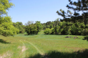 1,319 Acres, Dawes County, Pine Ridge Recreational Oasis