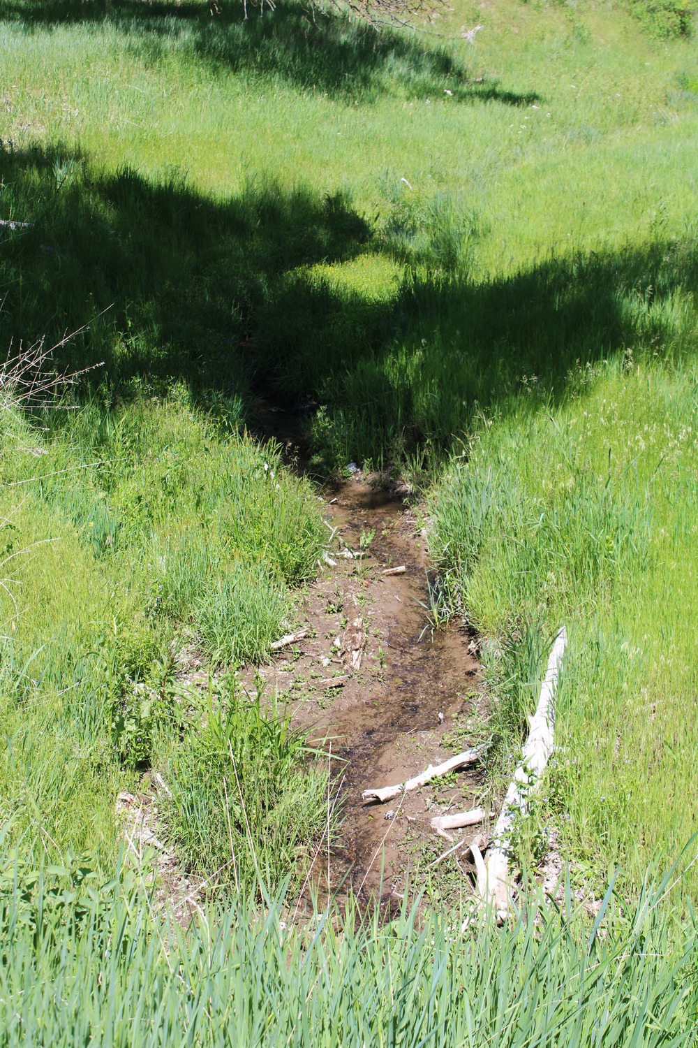 Dawes county Nebraska ranch and hunting land for sale