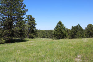 Dawes county Nebraska ranch and hunting land for sale
