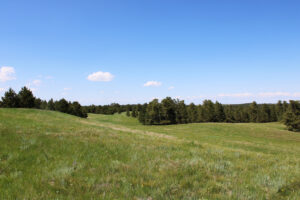 Dawes county Nebraska ranch and hunting land for sale