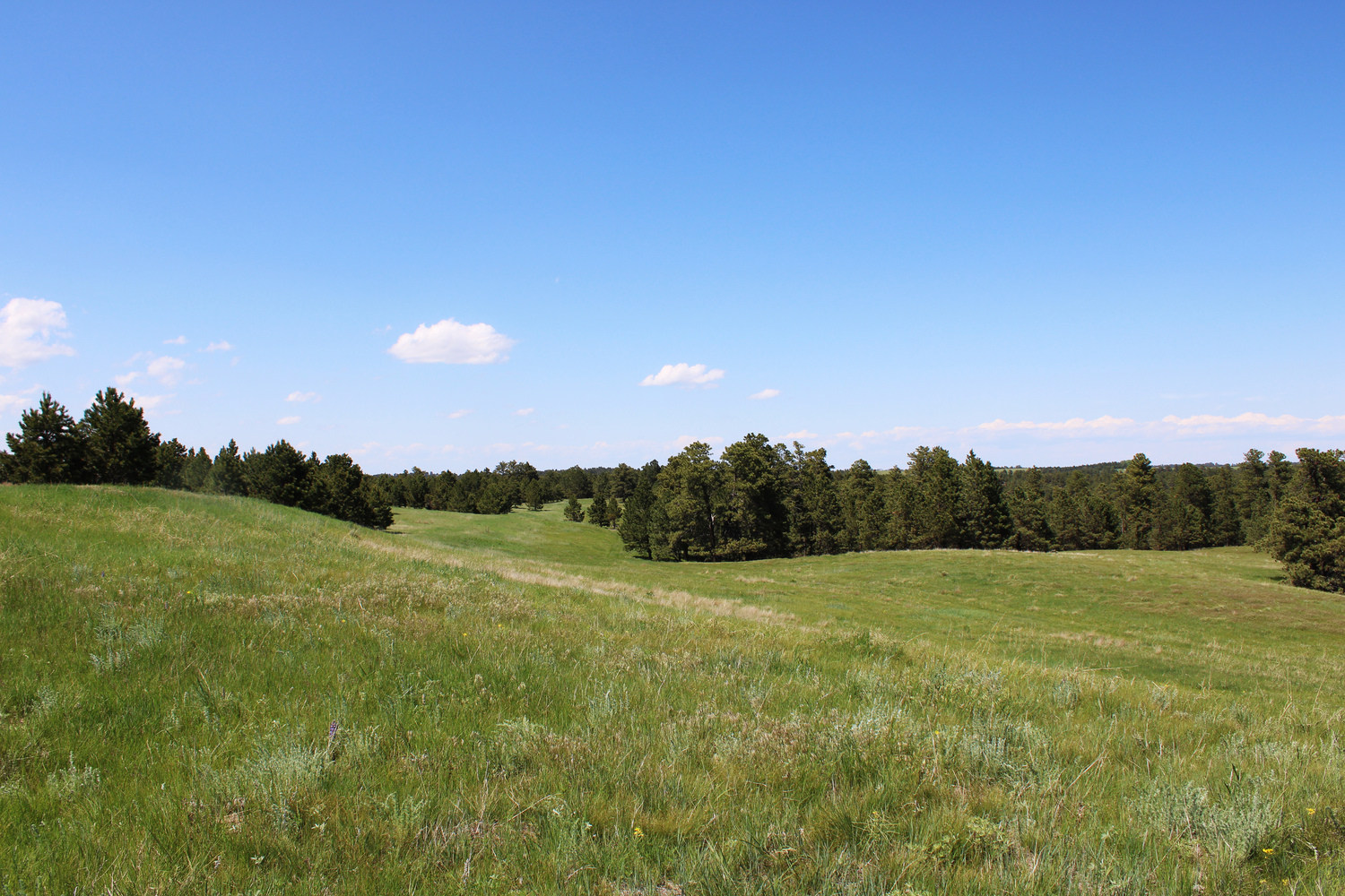 Dawes county Nebraska ranch and hunting land for sale