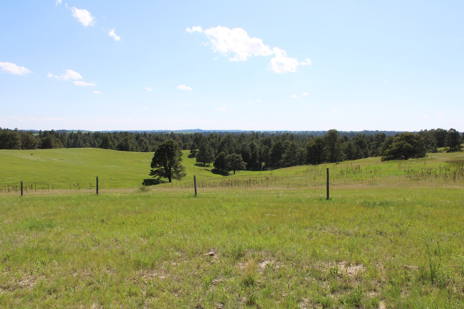 Dawes county Nebraska ranch and hunting land for sale