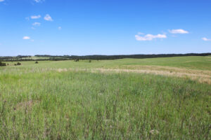 Dawes county Nebraska ranch and hunting land for sale