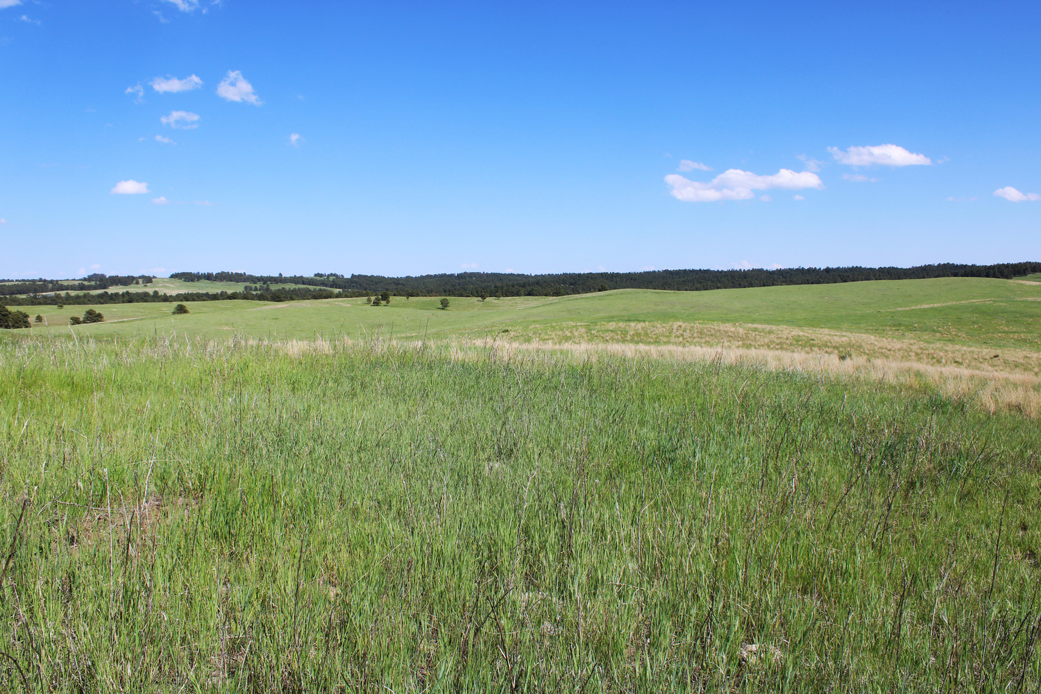 Dawes county Nebraska ranch and hunting land for sale