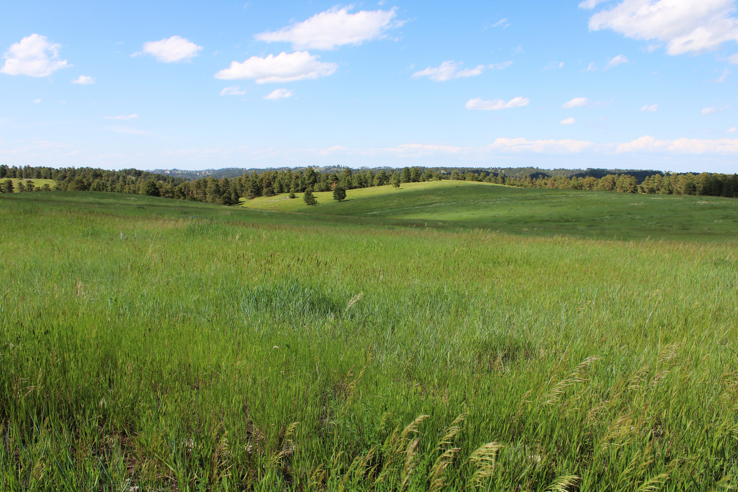 Dawes county Nebraska ranch and hunting land for sale