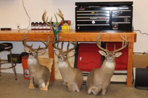 1,319 Acres, Dawes County, Pine Ridge Recreational Oasis