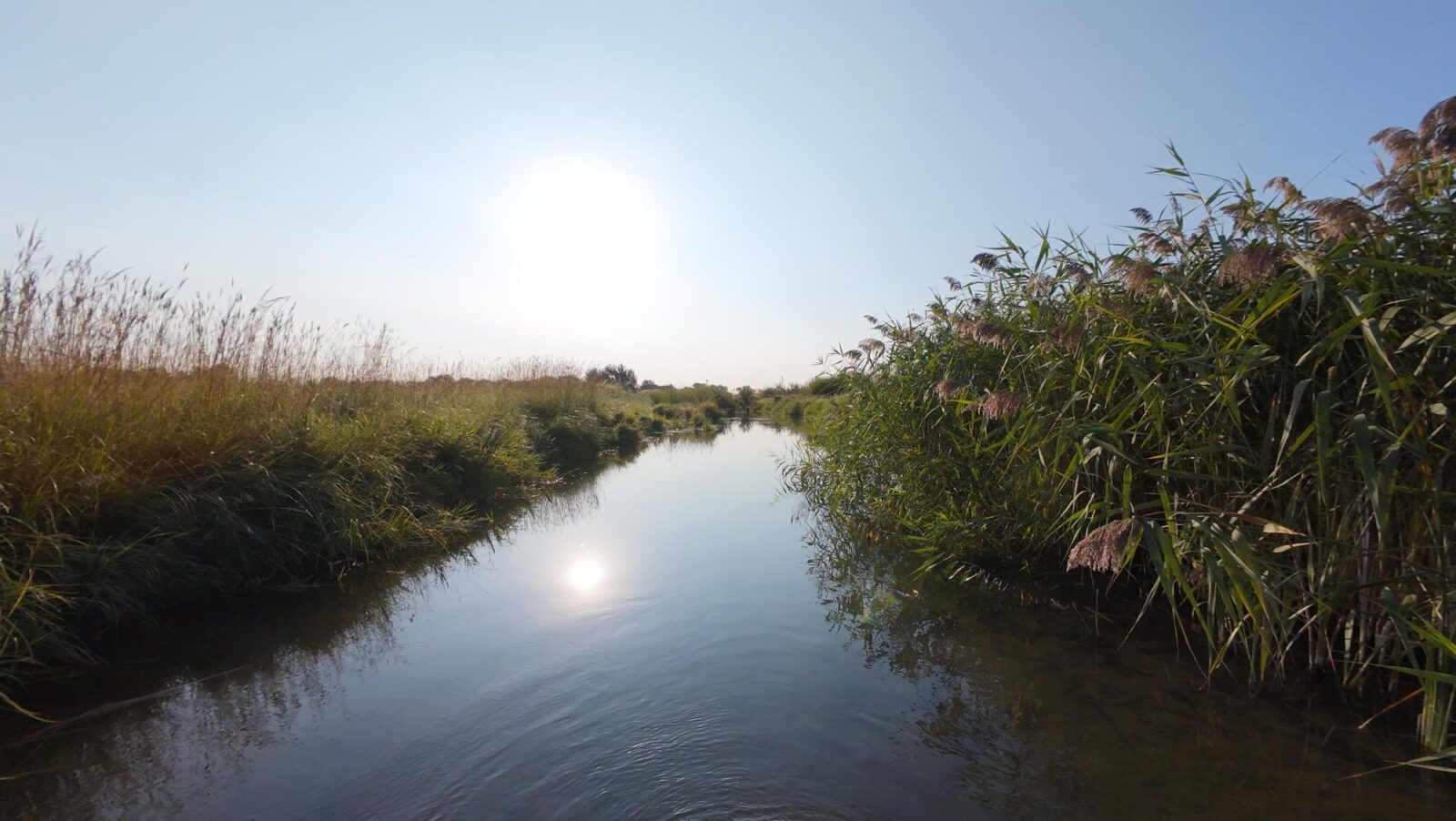 North Platte, Nebraska land for sale