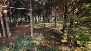 North Platte, Nebraska land for sale