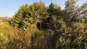 North Platte, Nebraska land for sale