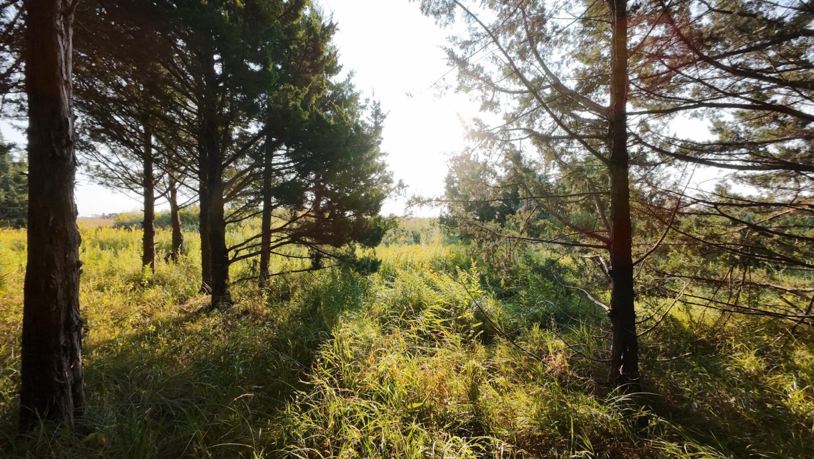 North Platte, Nebraska land for sale