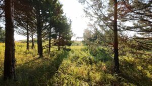 North Platte, Nebraska land for sale