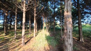 North Platte, Nebraska land for sale