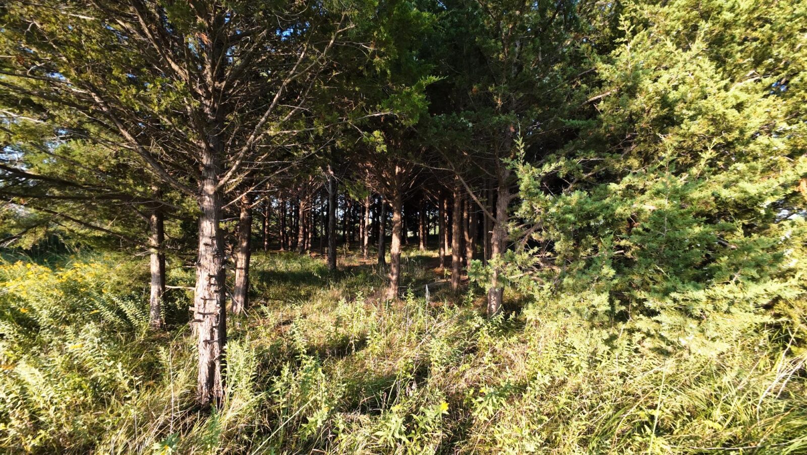 North Platte, Nebraska land for sale