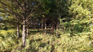 North Platte, Nebraska land for sale
