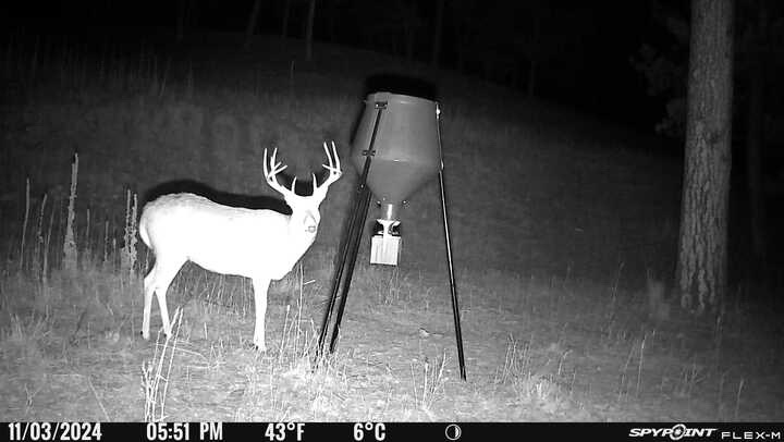 1,319 Acres, Dawes County, Pine Ridge Recreational Oasis