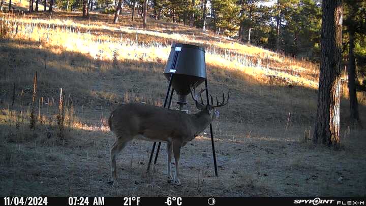 1,319 Acres, Dawes County, Pine Ridge Recreational Oasis