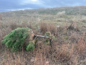 1,319 Acres, Dawes County, Pine Ridge Recreational Oasis