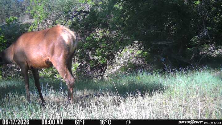 1,319 Acres, Dawes County, Pine Ridge Recreational Oasis