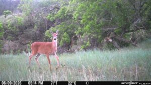 1,319 Acres, Dawes County, Pine Ridge Recreational Oasis