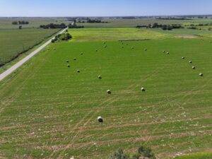 State Farm Road Long Acreage East