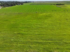 State Farm Road Long Acreage East