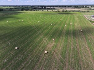 State Farm Road Long Acreage East