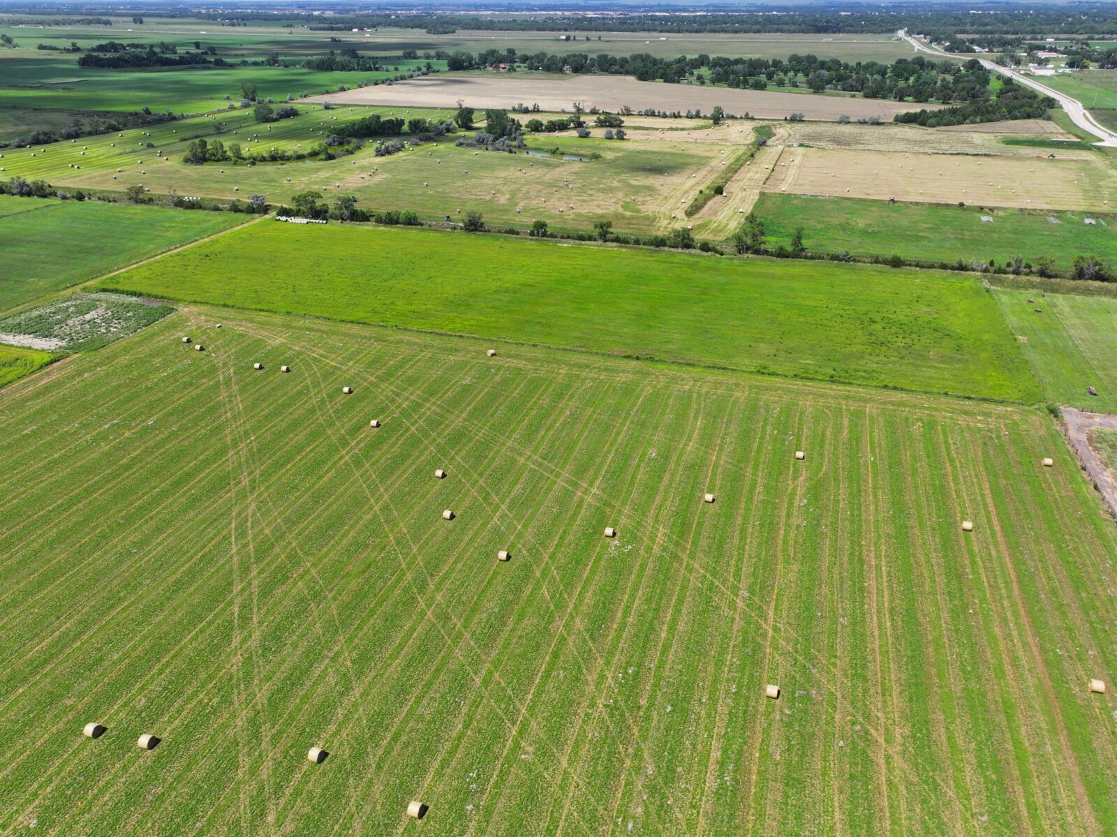State Farm Road Long Acreage East