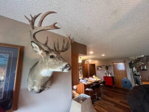Beatrice, Nebraska home and land for sale