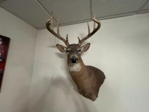 Beatrice, Nebraska home and land for sale