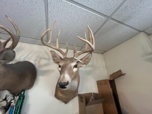 Beatrice, Nebraska home and land for sale