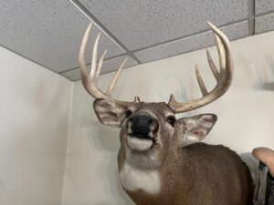 Beatrice, Nebraska home and land for sale