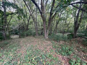 Beatrice, Nebraska home and land for sale